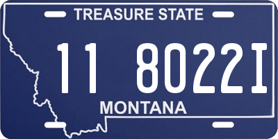 MT license plate 118022I