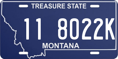 MT license plate 118022K