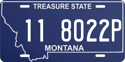 MT license plate 118022P