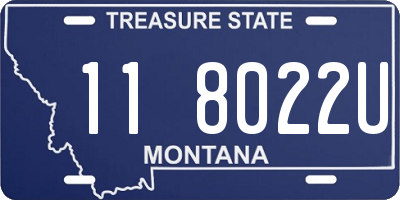 MT license plate 118022U