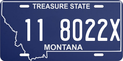 MT license plate 118022X