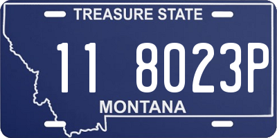 MT license plate 118023P
