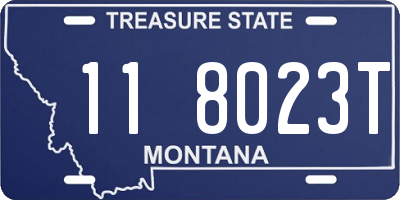 MT license plate 118023T