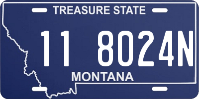 MT license plate 118024N