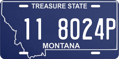 MT license plate 118024P