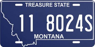MT license plate 118024S