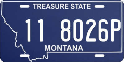 MT license plate 118026P