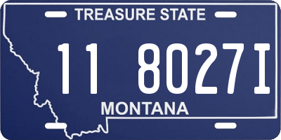 MT license plate 118027I