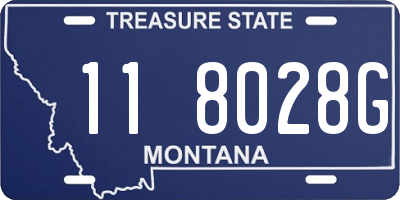 MT license plate 118028G