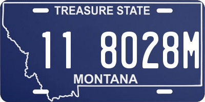 MT license plate 118028M