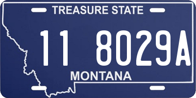 MT license plate 118029A