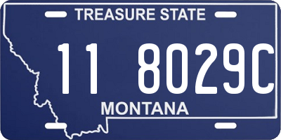 MT license plate 118029C