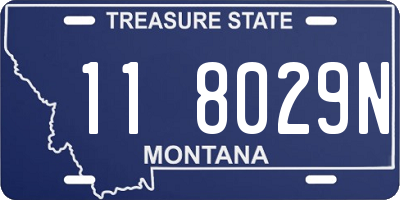 MT license plate 118029N
