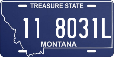 MT license plate 118031L