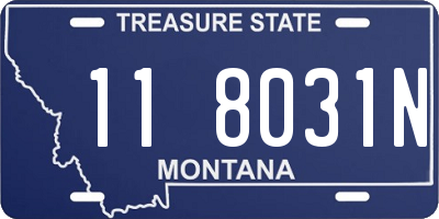 MT license plate 118031N