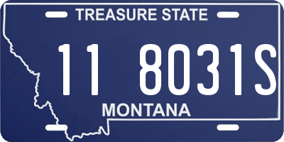 MT license plate 118031S