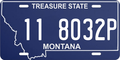 MT license plate 118032P