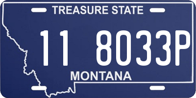 MT license plate 118033P