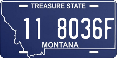 MT license plate 118036F