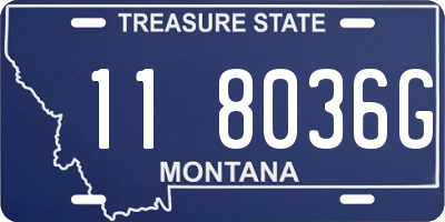 MT license plate 118036G