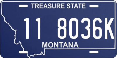 MT license plate 118036K