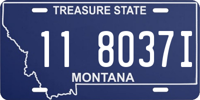 MT license plate 118037I