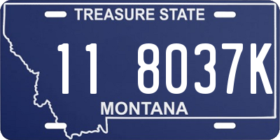 MT license plate 118037K