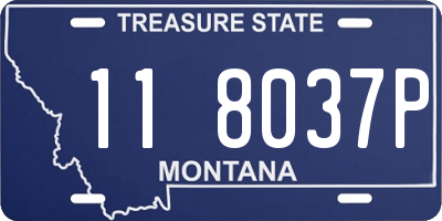 MT license plate 118037P