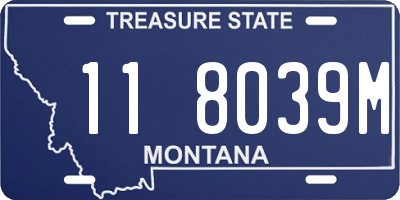 MT license plate 118039M