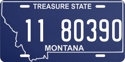 MT license plate 118039O
