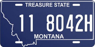 MT license plate 118042H