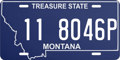 MT license plate 118046P