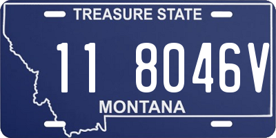 MT license plate 118046V