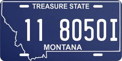 MT license plate 118050I