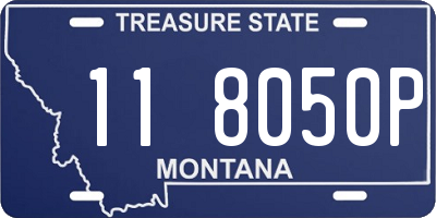 MT license plate 118050P