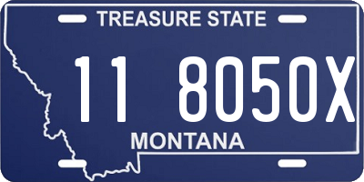 MT license plate 118050X