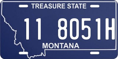 MT license plate 118051H