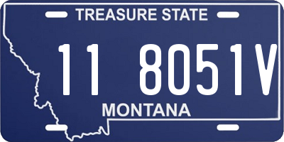 MT license plate 118051V