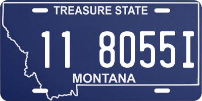 MT license plate 118055I