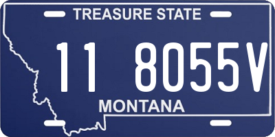 MT license plate 118055V