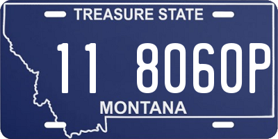 MT license plate 118060P