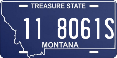 MT license plate 118061S