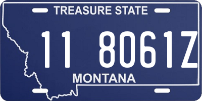 MT license plate 118061Z