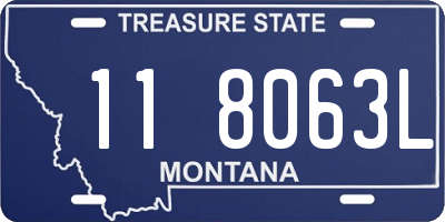 MT license plate 118063L