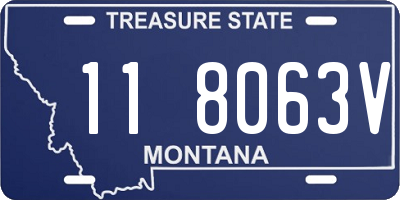 MT license plate 118063V