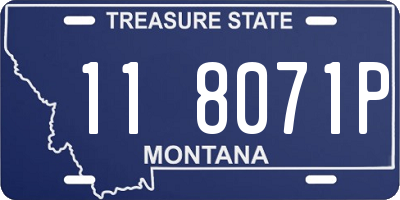 MT license plate 118071P