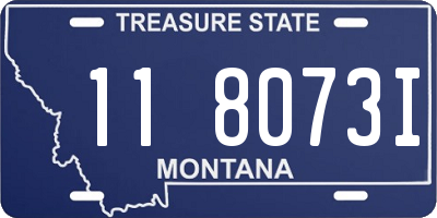 MT license plate 118073I