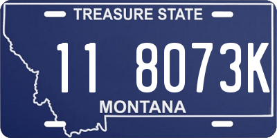 MT license plate 118073K