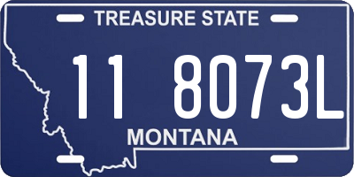 MT license plate 118073L