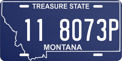 MT license plate 118073P